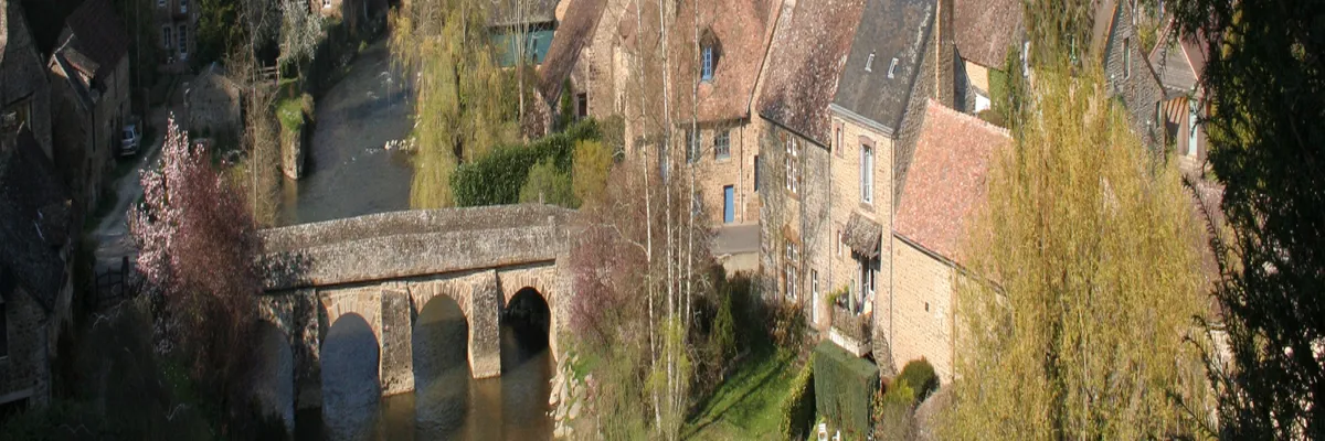 Image Entreprise monte escalier Sarthe