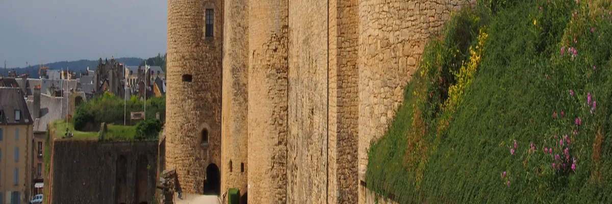 Image Entreprise monte escalier Sedan