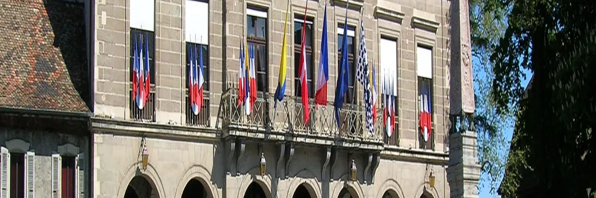 Image Entreprise monte escalier Thonon-les-Bains