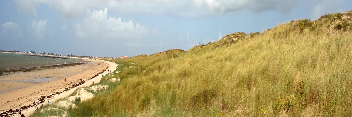 Image Entreprise monte escalier Vendée