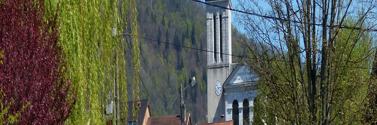 Image Entreprise monte escalier Viuz-en-Sallaz