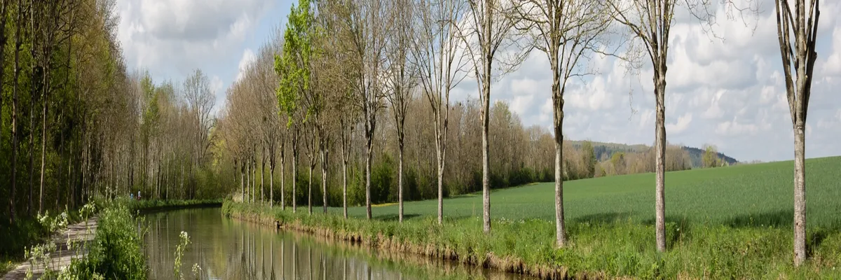 Image Entreprise monte escalier Yonne