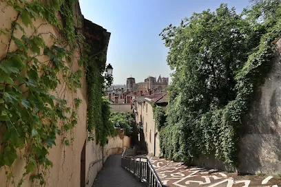 Photo de Escalier Basilique de Fourvière