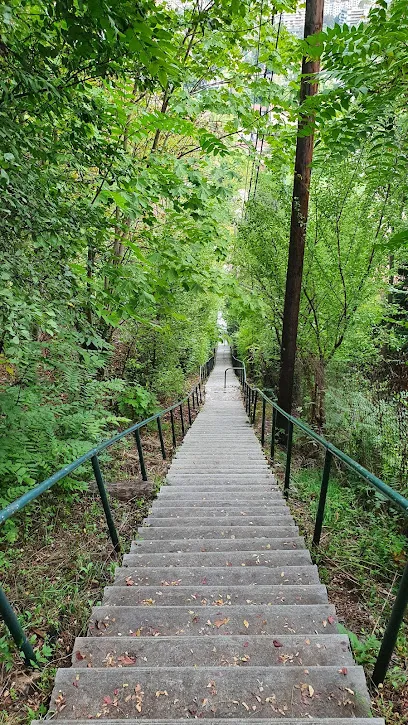 Photo de Escalier - Montée du Père Dumas