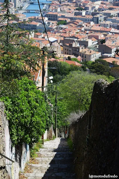 Photo de Escaliers du Mont Saint-Clair