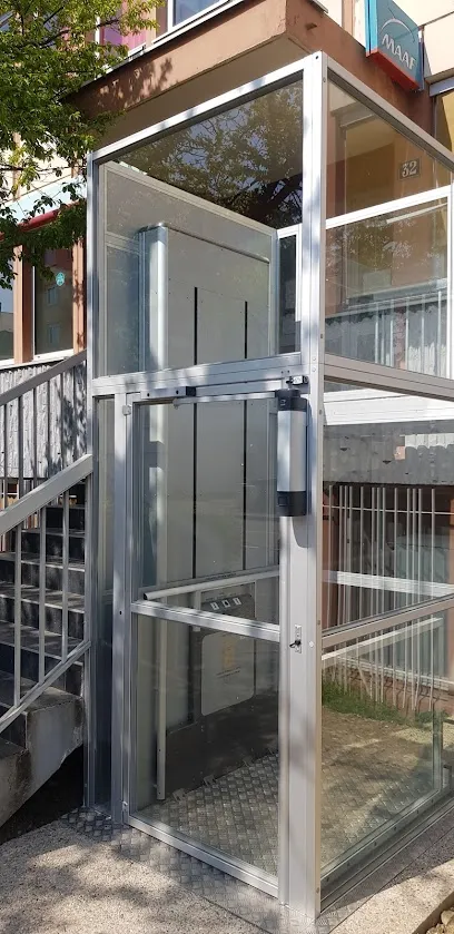 Photo de Ilex Lorraine (Ascelec)