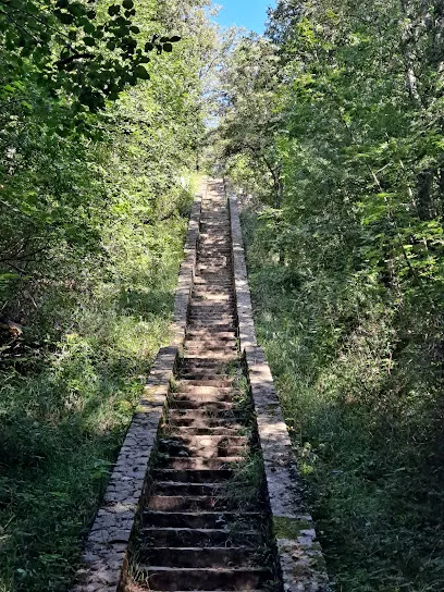Photo de Les escaliers