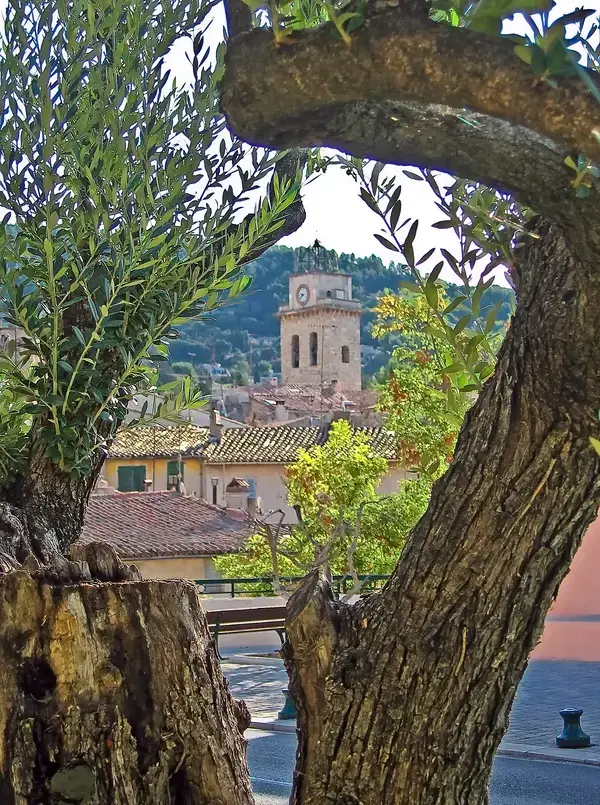 Monte Escalier Entreprise Entreprise monte escalier Ceyreste