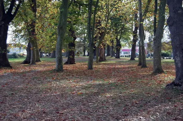 Monte Escalier Entreprise Entreprise monte escalier Idron
