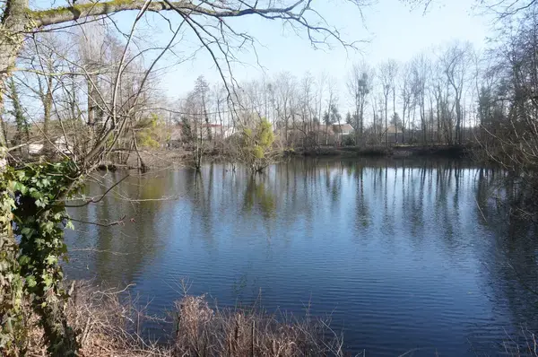 Monte Escalier Entreprise Entreprise monte escalier La Chapelle-Saint-Luc