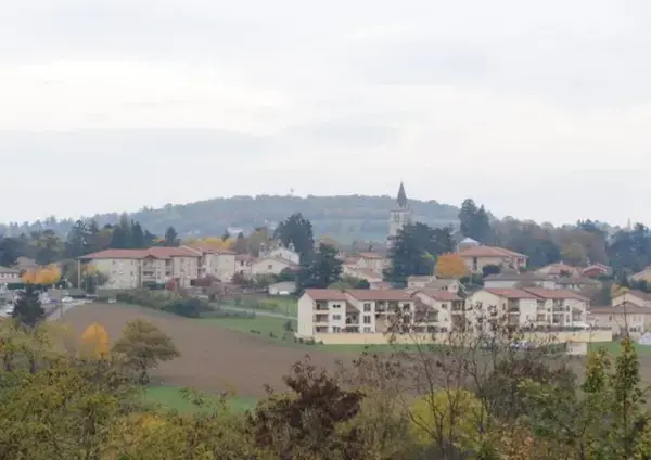 Monte Escalier Entreprise Entreprise monte escalier Lentilly