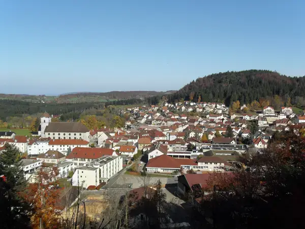 Monte Escalier Entreprise Entreprise monte escalier Maîche