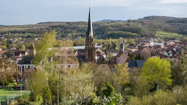 Monte Escalier Entreprise Entreprise monte escalier Mutzig