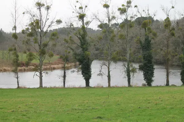 Monte Escalier Entreprise Entreprise monte escalier Muzillac
