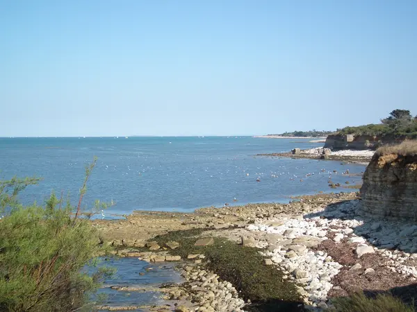 Monte Escalier Entreprise Entreprise monte escalier Nouvelle-Aquitaine