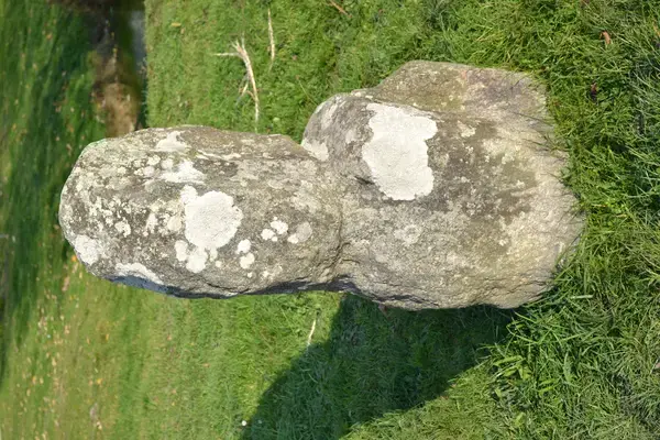 Monte Escalier Entreprise Entreprise monte escalier Prinquiau